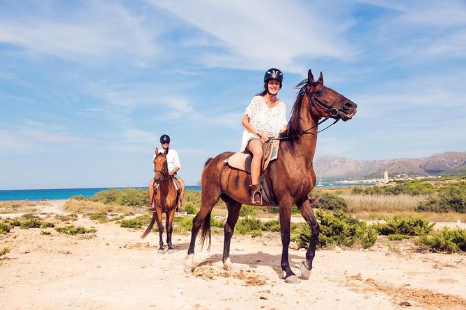 Horse Riding By The Beach With Hammam And Massage - Meeting the horses at the ranch