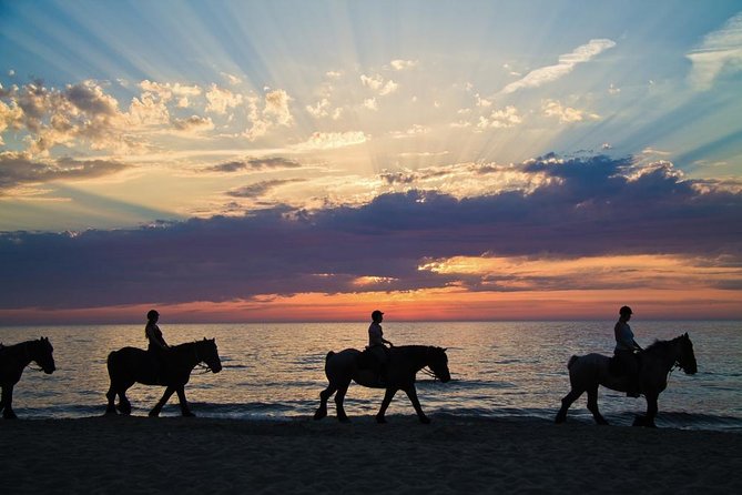 Horse Riding By The Beach With Hammam And Massage - Is $104.54 good value?