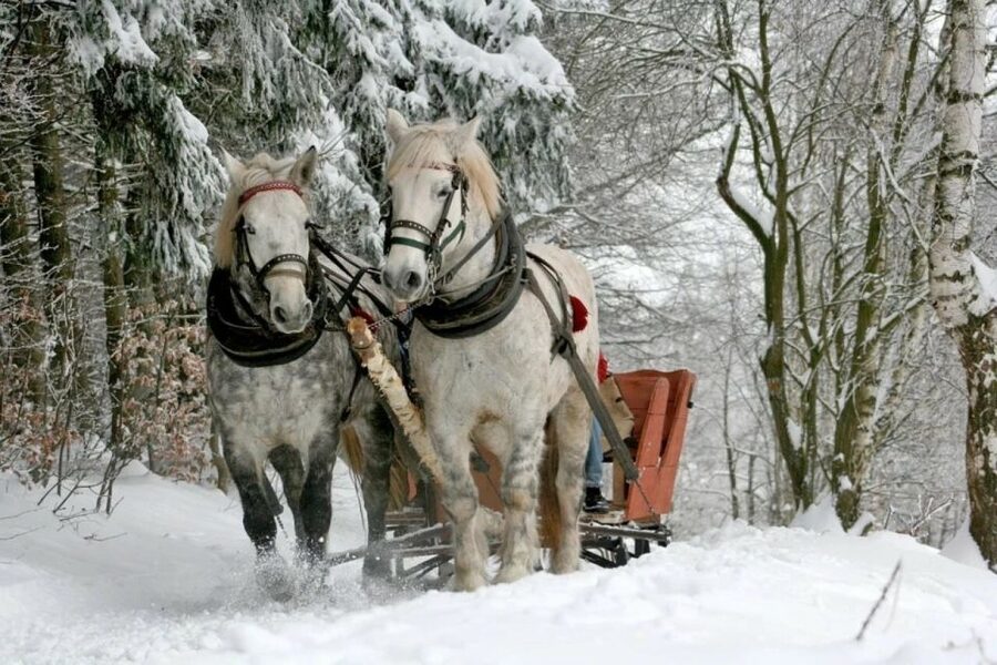 Horse Sleigh 2-3h Ride with Hot Springs or Zakopane Combos - Small details that make the day easier