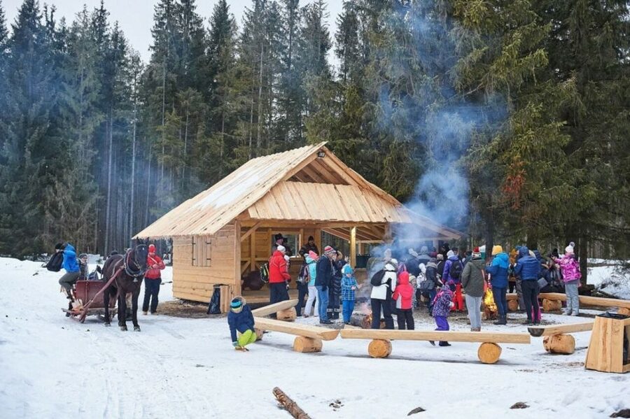 Horse Sleigh 2-3h Ride with Hot Springs or Zakopane Combos - A long day in Podhale, from village lanes to mountain views
