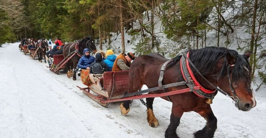 Horse Sleigh 2-3h Ride with Hot Springs or Zakopane Combos - Krupowki Street and the Zakopane town center