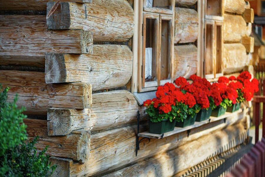 Horse Sleigh 2-3h Ride with Hot Springs or Zakopane Combos - What the $223 price really covers