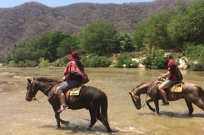Horses on The Beach or Hot Springs - What the hot-springs route adds