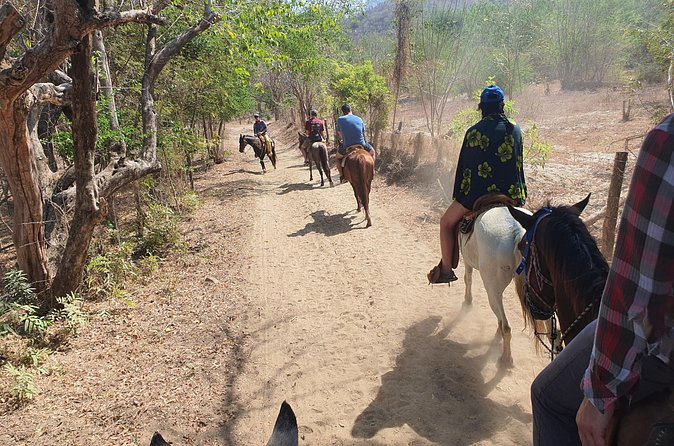 Horses on The Beach or Hot Springs - The beach option and the sunset question