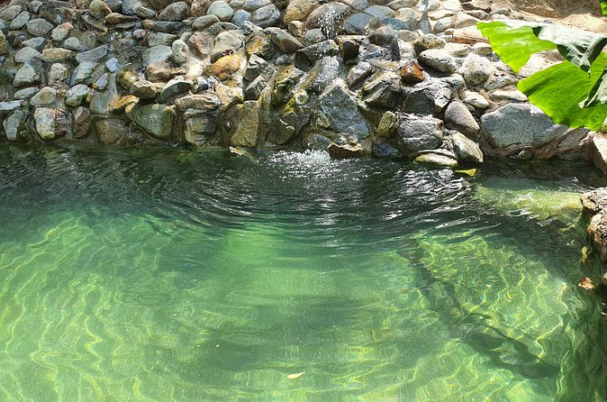Horses on The Beach or Hot Springs - Why the guides matter on a first ride