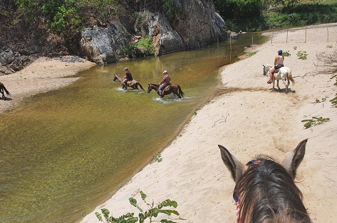 Horses on The Beach or Hot Springs - Timing, comfort, and what to bring