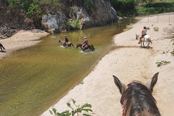 Horses on The Beach or Hot Springs - Riding through river country near Laguna Manialtepec