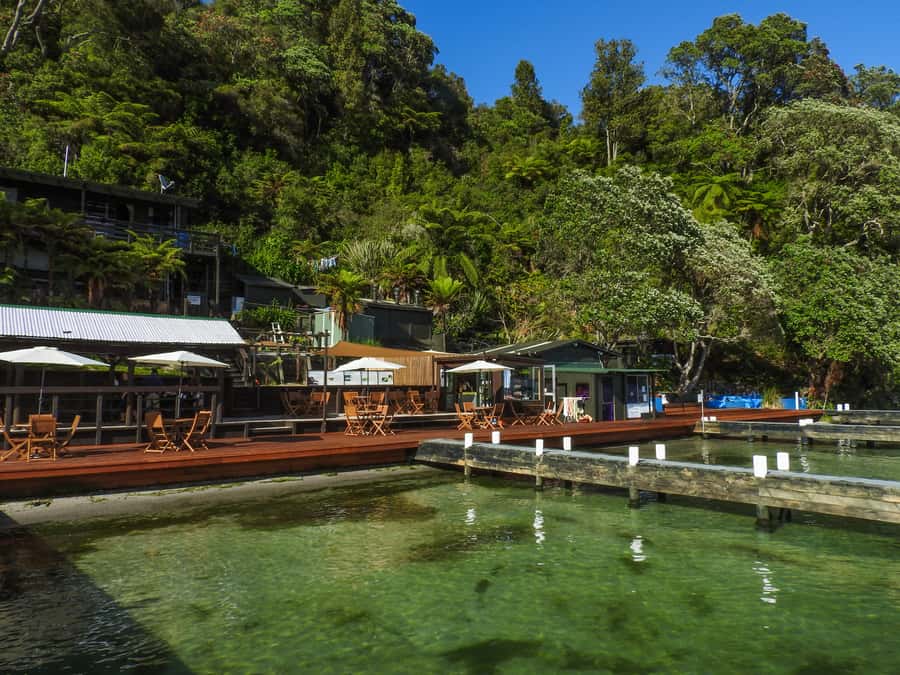 Hot Pools Kayak & Evening Barbecue - Getting Kitted Up in Rotorua