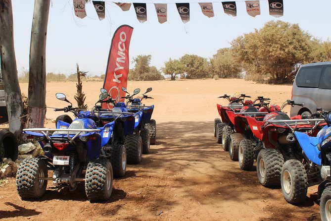 Hot spring and Atlas mountains quad biking tour - Mint Tea in a Traditional Moroccan Home