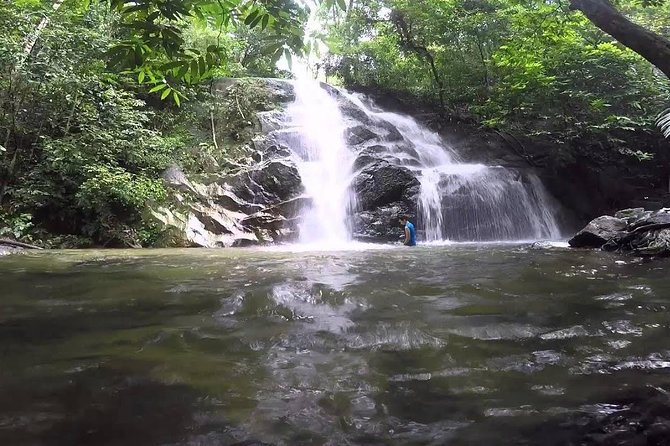 Hot Spring and Waterfall Day Tour - What the private tour changes