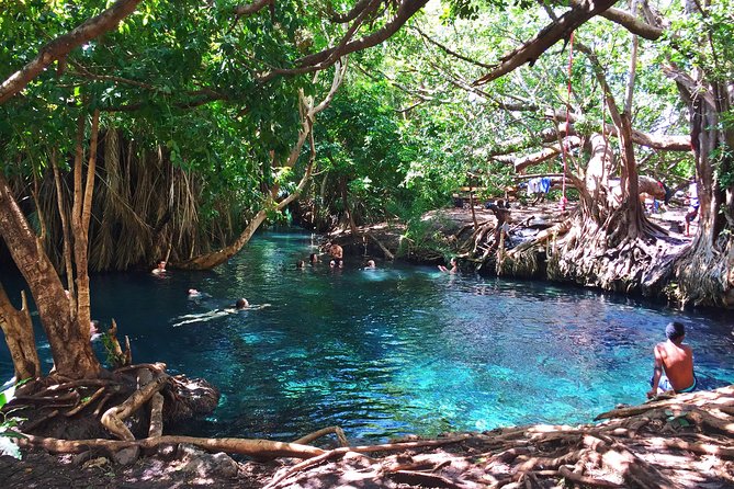 Hot Spring Day Trip - The private format and guide service