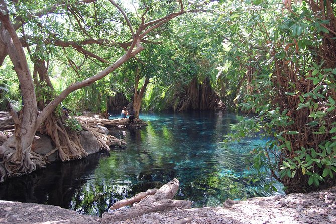 Hot Spring Day Trip - Practical tips for a smoother outing