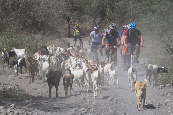 Hot Springs Bike tour - Why cycling to Kikuletwa feels different