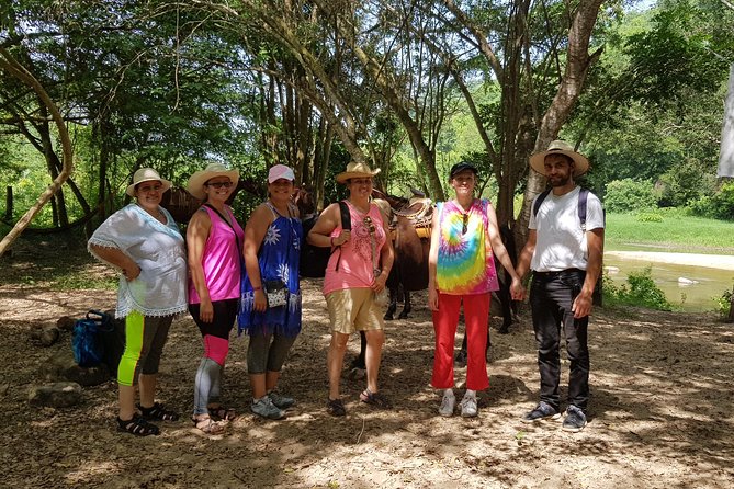 Hot Springs Horseback Riding Adventure - Riding through farms, animals, and mountain scenery