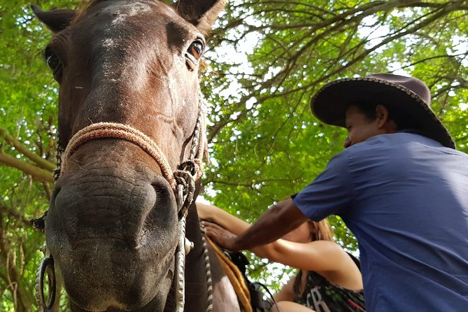 Hot Springs Horseback Riding Adventure - Who will get the most from this ride