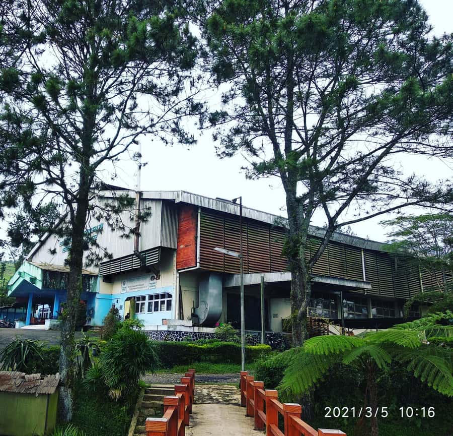 Jakarta: Volcano, Hot Spring, Tea, Rice Fields, &Coffee tour - Lembang Lunch and a Practical Midday Break