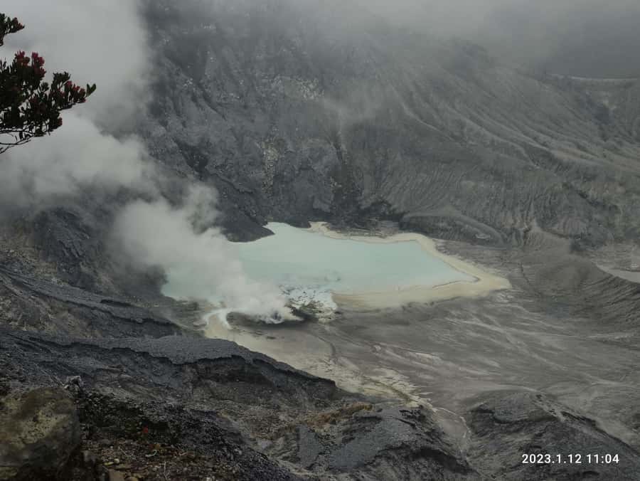 Jakarta: Volcano, Hot Spring, Tea, Rice Fields, &Coffee tour - Luwak Coffee at Cikole
