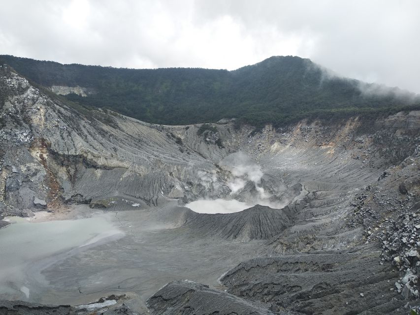Jakarta: Volcano, Hot Spring, Tea, Rice Fields, &Coffee tour - What the $128 Price Covers