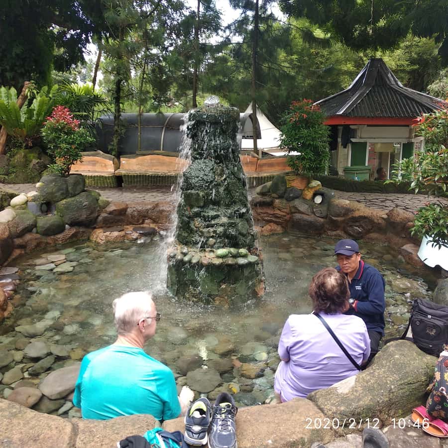 Jakarta: Volcano, Hot Spring, Tea, Rice Fields, &Coffee tour - Timing, Comfort, and What to Pack