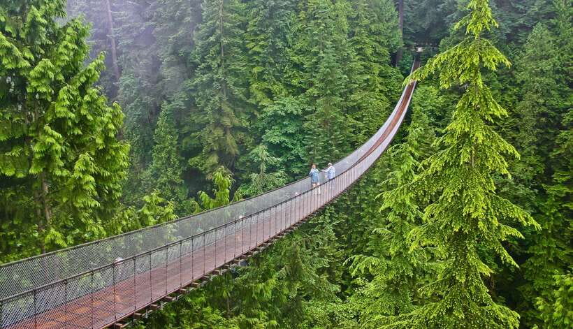 Jakarta: Volcano or Suspension Bridge,Ricefield & Hot Spring - Key points to know before booking