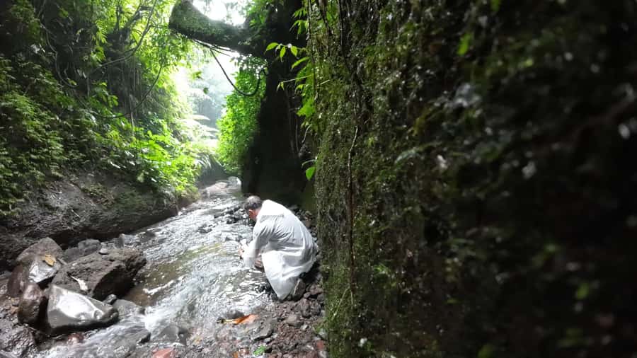 Jakarta: Waterfalls, Volcano, White Crater, Tea, Hot Spring - Is $75 good value?