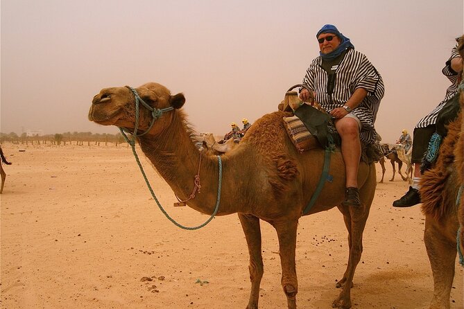 Jet Ski Quad Bike Camel Rdie And Hammam Massage Package - A guided camel ride near eucalyptus woodland