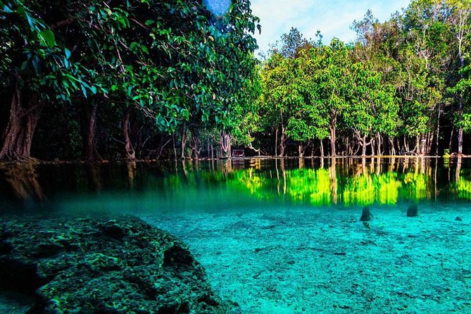 Jungle Tour to Emerald Pool, Krabi Hot Spring and Tiger Cave Temple - Emerald Pool: turquoise water and a forest walk