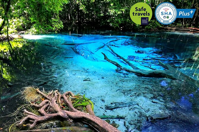 Jungle Tour to Emerald Pool, Krabi Hot Spring and Tiger Cave Temple - Namtok Ron Hot Spring Waterfall: the easiest start