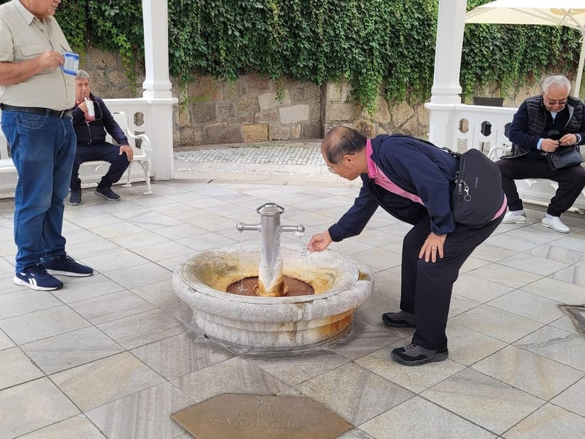 Karlovy Vary: Mineral Hot Springs Tasting and Walking Tour - Key points before you book