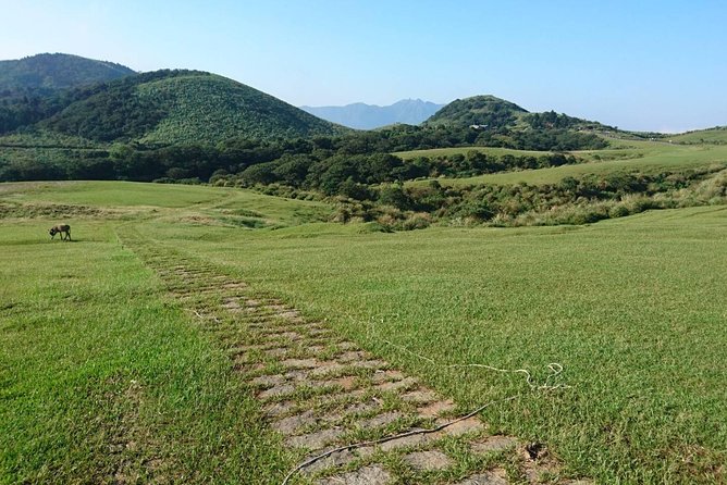 Keelung Shore Excursion: Yangmingshan Hot Spring and Wild Vegetable Cuisine Tour - A 90-minute look at Yangmingshan National Park