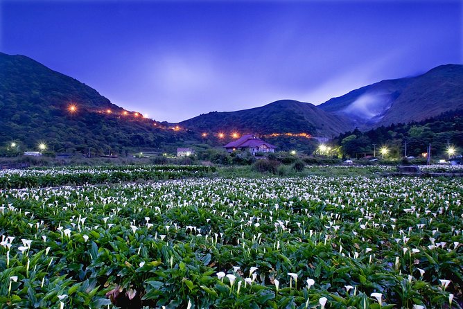 Keelung Shore Excursion: Yangmingshan Hot Spring and Wild Vegetable Cuisine Tour - The pace, vehicle, and practical details