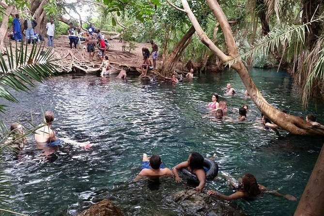 Kikuletwa (Chemka) Hot Springs Day Tour - Who will enjoy this private day trip