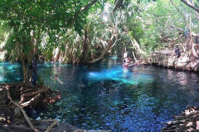 Kilimanjaro Waterfalls Hike & Moshi Hot Springs Day Trip Tour - From Arusha to the Kilimanjaro foothills