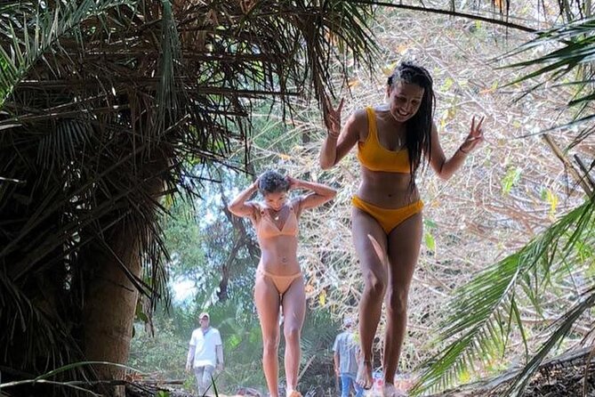 Kilimanjaro Waterfalls Hike & Moshi Hot Springs Day Trip Tour - Chemka Hot Springs for the afternoon