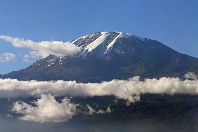 Kilimanjaro Waterfalls Hike & Moshi Hot Springs Day Trip Tour - The drive through Moshi back to Arusha