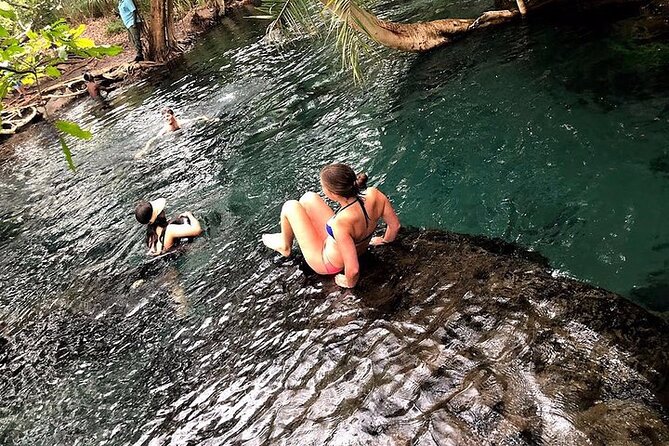 Kilimanjaro Waterfalls Hike & Moshi Hot Springs Day Trip Tour - What $160 per person buys you in value