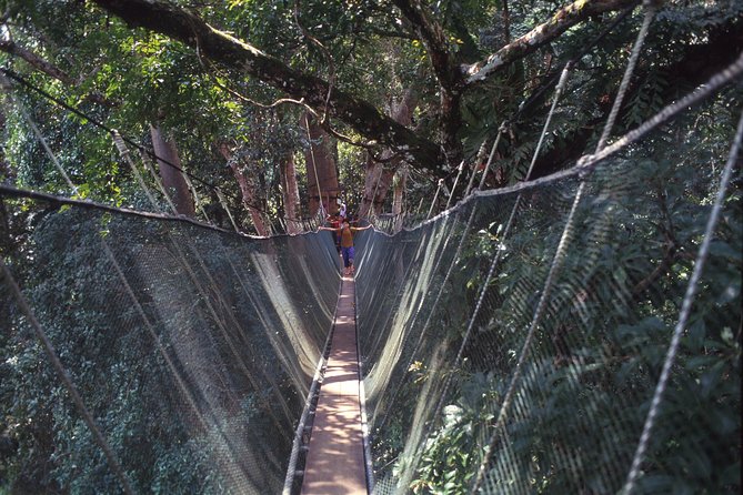 Kinabalu Park & Poring Hot Spring Tour - Desa Cattle Farm, ice cream, and a change of pace