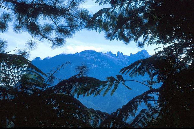 Kinabalu Park & Poring Hot Spring Tour - Kinabalu Park at about 4:00 pm