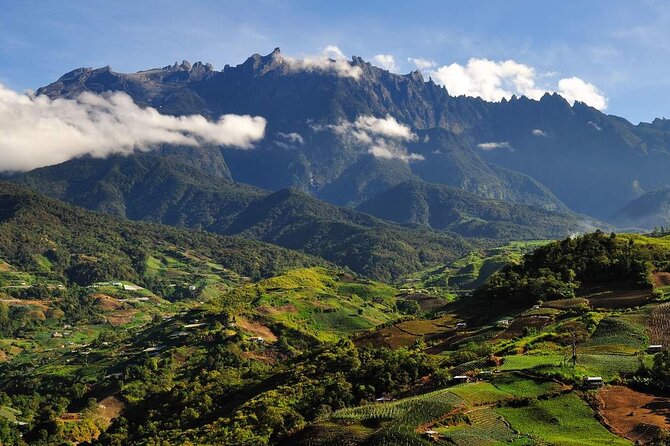 Kinabalu Park & Poring Hot Springs Tour with Desa Dairy Farm - A mountain day that packs in plenty