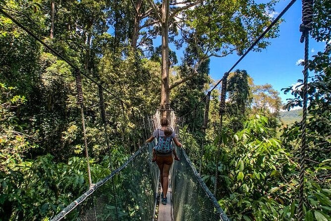 Kinabalu Park & Poring Hot Springs Tour with Desa Dairy Farm - Lunch breaks up the road to Poring