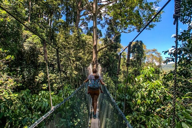 Kinabalu Park Tour with Desa Dairy Farm & Poring Hot Springs - Why this day trip works for first-time Sabah visitors