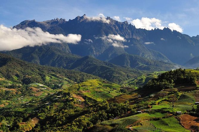 Kinabalu Park Tour with Desa Dairy Farm & Poring Hot Springs - Poring Hot Springs adds the day’s active walk