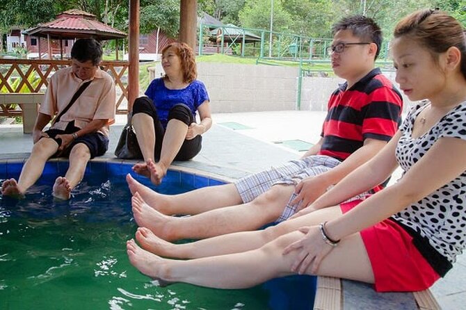Kinabalu Park Tour with Desa Dairy Farm & Poring Hot Springs - What the $124.82 price includes