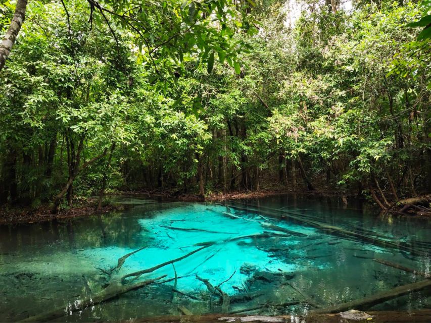 Ko Lanta: Full Day Emerald Pool&Hot Spring With Tiger Temple - Who should book this Ko Lanta day trip?