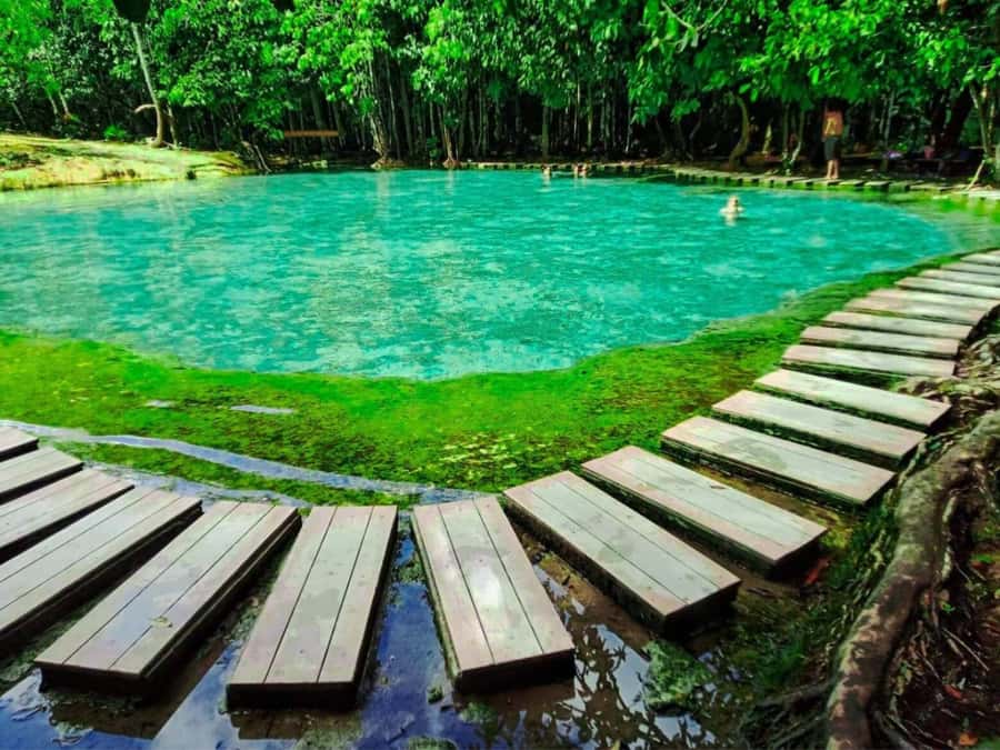Ko Lanta: Full Day Emerald Pool&Hot Spring With Tiger Temple - A 7 AM start from Ko Lanta