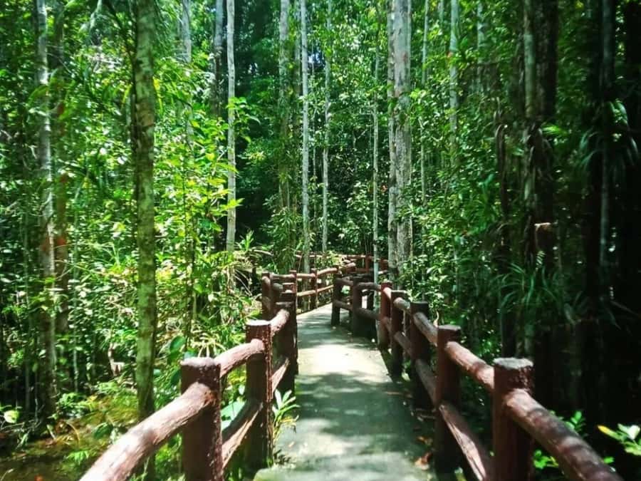 Ko Lanta: Full Day Emerald Pool&Hot Spring With Tiger Temple - Soaking at Krabi Hot Stream