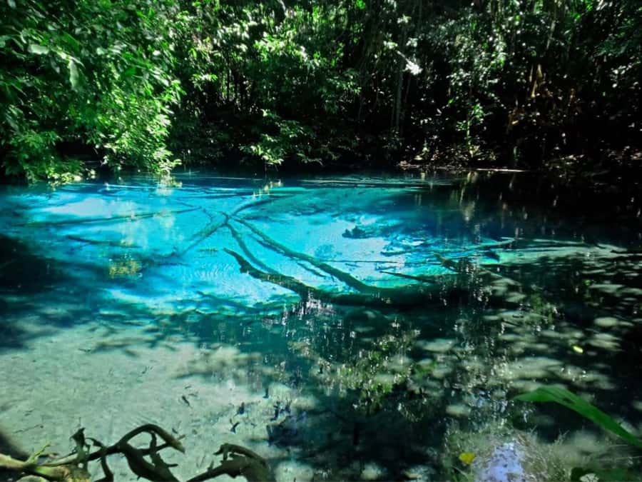 Ko Lanta: Full Day Emerald Pool&Hot Spring With Tiger Temple - What to bring and how to prepare