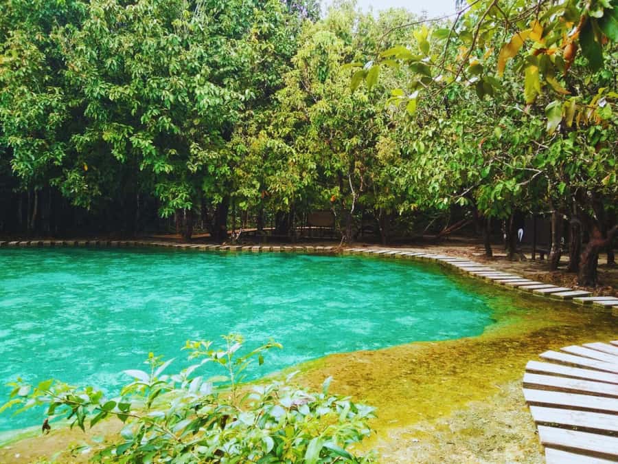Ko Lanta: Full Day Emerald Pool&Hot Spring With Tiger Temple - Walking through the forest to Emerald Pool