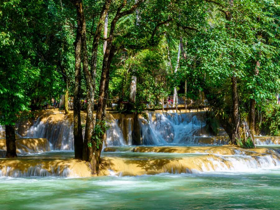 Ko Lanta: Private Tiger Cave, Hot Spring & Emerald Pool Tour - The forest walk to Emerald Pool