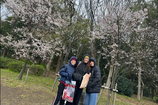 Kobe Guided Tour Including Port Area and Arima Onsen Town - What an authentic onsen visit means for you